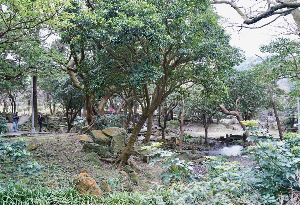 陽明山前山公園賞櫻花｜前山公園公共浴池免費男湯女湯溫泉泡湯，日式陽明湖美呆，磐流園超像亞馬遜公園，交通