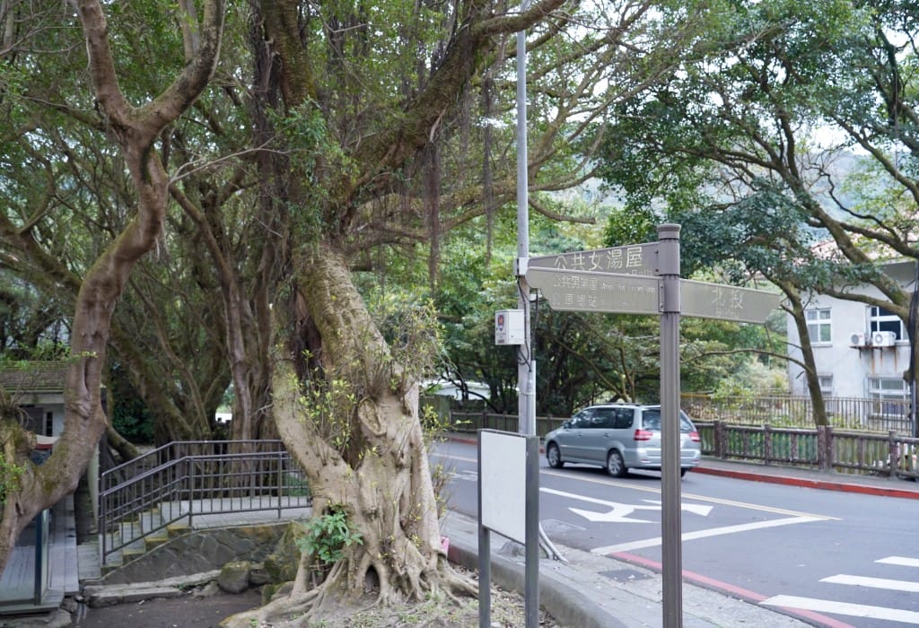 陽明山前山公園賞櫻花｜前山公園公共浴池免費男湯女湯溫泉泡湯，日式陽明湖美呆，磐流園超像亞馬遜公園，交通
