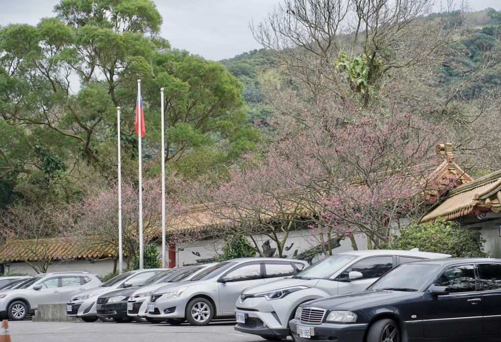 陽明山前山公園賞櫻花｜前山公園公共浴池免費男湯女湯溫泉泡湯，日式陽明湖美呆，磐流園超像亞馬遜公園，交通