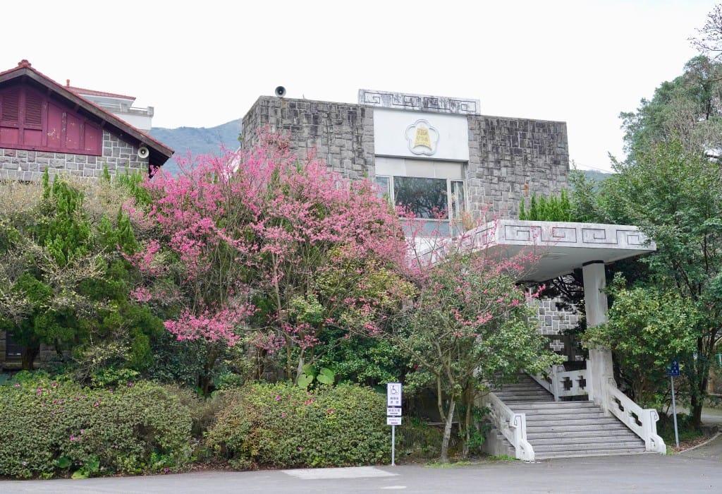 陽明山前山公園賞櫻花｜前山公園公共浴池免費男湯女湯溫泉泡湯，日式陽明湖美呆，磐流園超像亞馬遜公園，交通