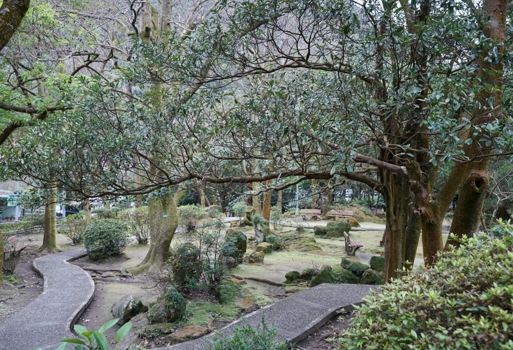 陽明山前山公園賞櫻花｜前山公園公共浴池免費男湯女湯溫泉泡湯，日式陽明湖美呆，磐流園超像亞馬遜公園，交通