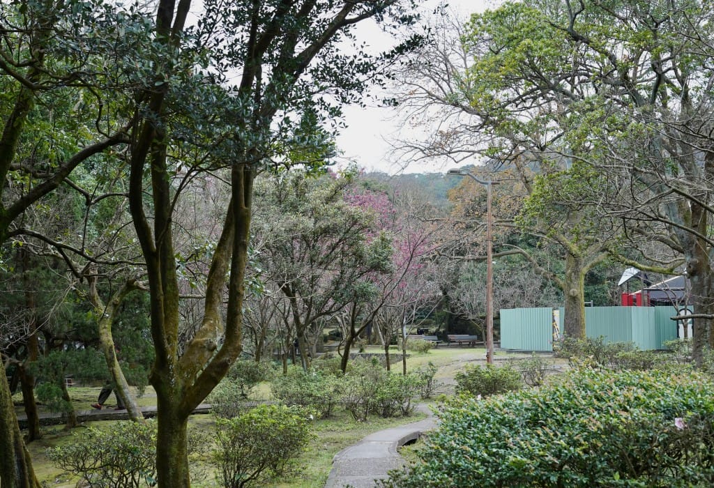 陽明山前山公園賞櫻花｜前山公園公共浴池免費男湯女湯溫泉泡湯，日式陽明湖美呆，磐流園超像亞馬遜公園，交通