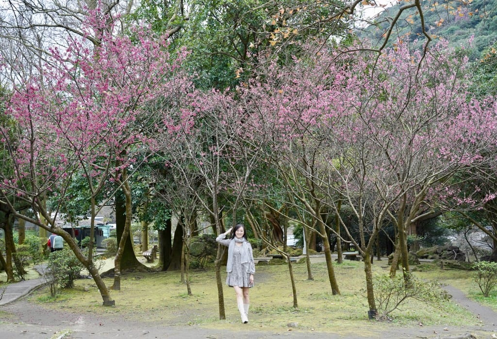 陽明山前山公園賞櫻花｜前山公園公共浴池免費男湯女湯溫泉泡湯，日式陽明湖美呆，磐流園超像亞馬遜公園，交通