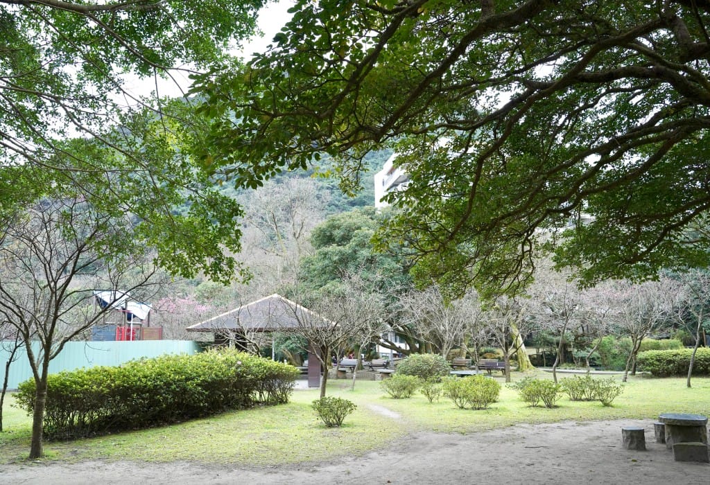 陽明山前山公園賞櫻花｜前山公園公共浴池免費男湯女湯溫泉泡湯，日式陽明湖美呆，磐流園超像亞馬遜公園，交通