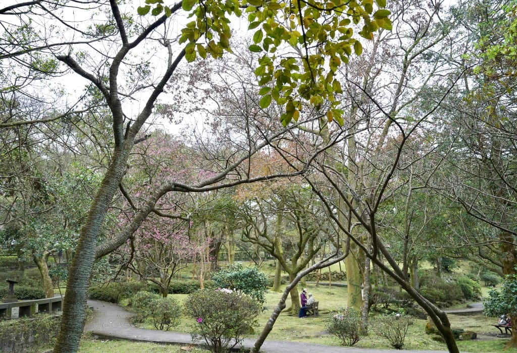 陽明山前山公園賞櫻花｜前山公園公共浴池免費男湯女湯溫泉泡湯，日式陽明湖美呆，磐流園超像亞馬遜公園，交通