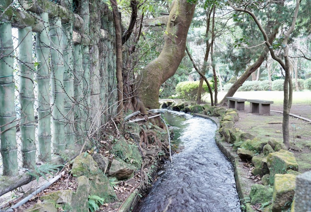 陽明山前山公園賞櫻花｜前山公園公共浴池免費男湯女湯溫泉泡湯，日式陽明湖美呆，磐流園超像亞馬遜公園，交通
