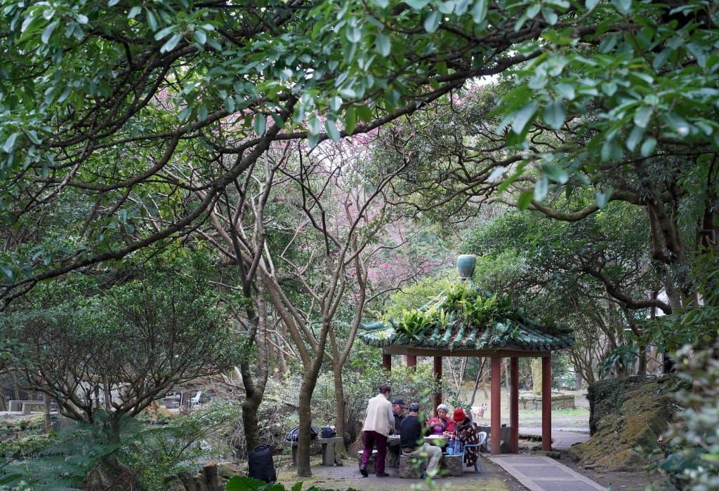 陽明山前山公園賞櫻花｜前山公園公共浴池免費男湯女湯溫泉泡湯，日式陽明湖美呆，磐流園超像亞馬遜公園，交通