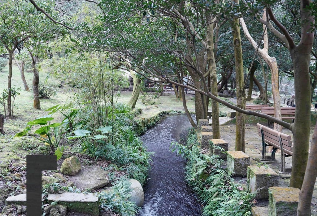 陽明山前山公園賞櫻花｜前山公園公共浴池免費男湯女湯溫泉泡湯，日式陽明湖美呆，磐流園超像亞馬遜公園，交通