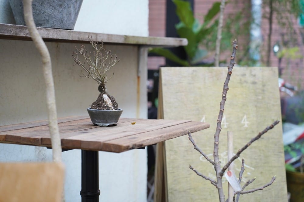 NUMÉRO QUATRE|信義區松菸旁一秒到法國街頭咖啡廳,享受法式早午餐悠閒下午茶 - 第12張圖 NUMÉRO QUATRE|信義區松菸旁一秒到法國街頭咖啡廳,享受法式早午餐悠閒下午茶