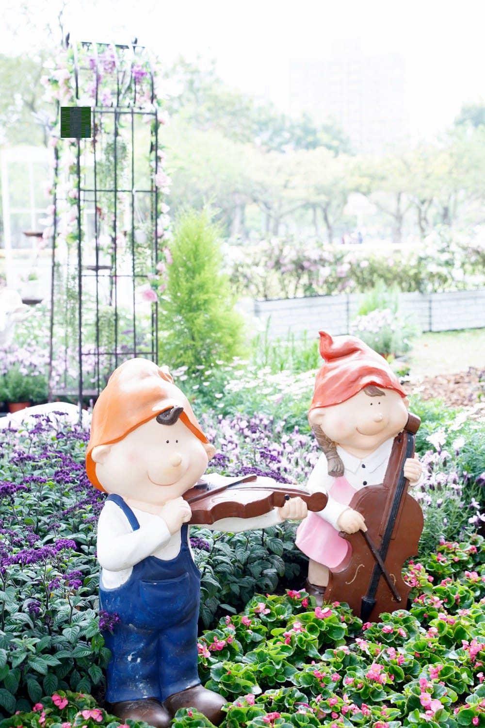 大安森林公園繡球花杜鵑花，最新花況，有停車場還有不限時咖啡廳