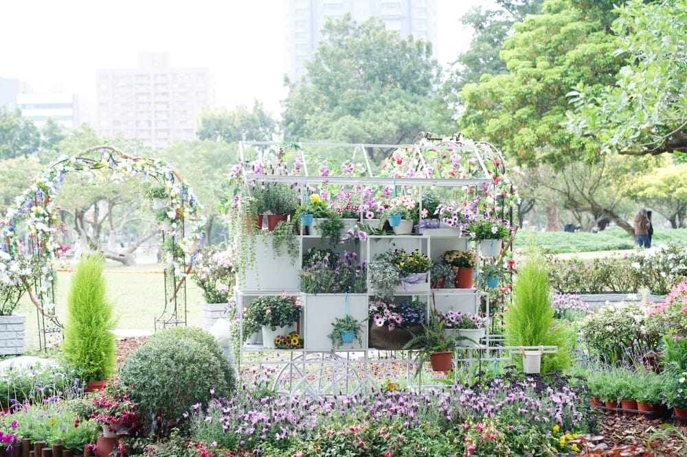 大安森林公園繡球花杜鵑花，最新花況，有停車場還有不限時咖啡廳