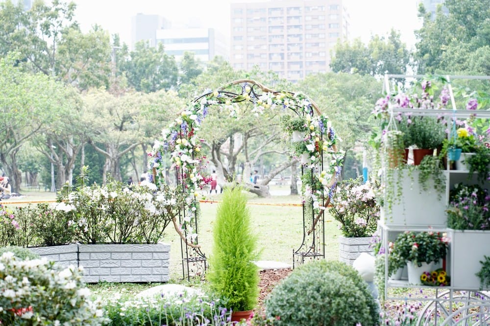 大安森林公園繡球花杜鵑花，最新花況，有停車場還有不限時咖啡廳