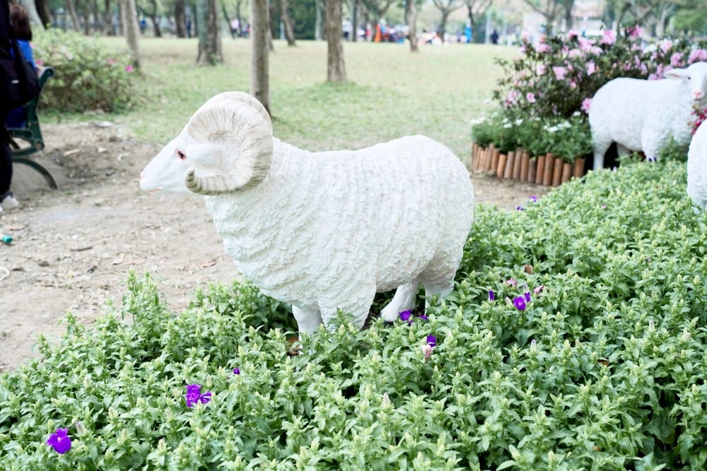 大安森林公園繡球花杜鵑花，最新花況，有停車場還有不限時咖啡廳