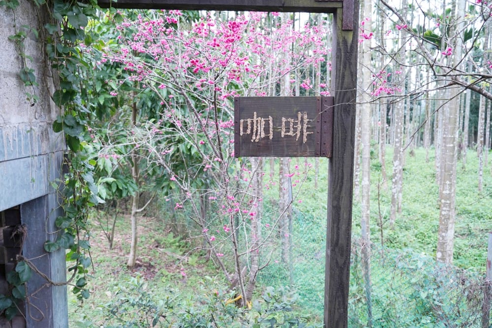 一畝田咖啡輕食｜新店安坑咖啡秘境，森林系隱藏版咖啡廳，安坑輕軌耕莘安康院區站旁，