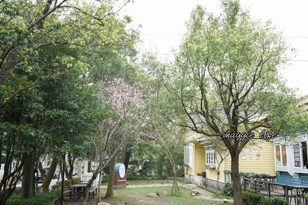 台北星巴克草山門市，陽明山美軍宿舍群也有超美櫻花，陽明山櫻花季可以來賞櫻