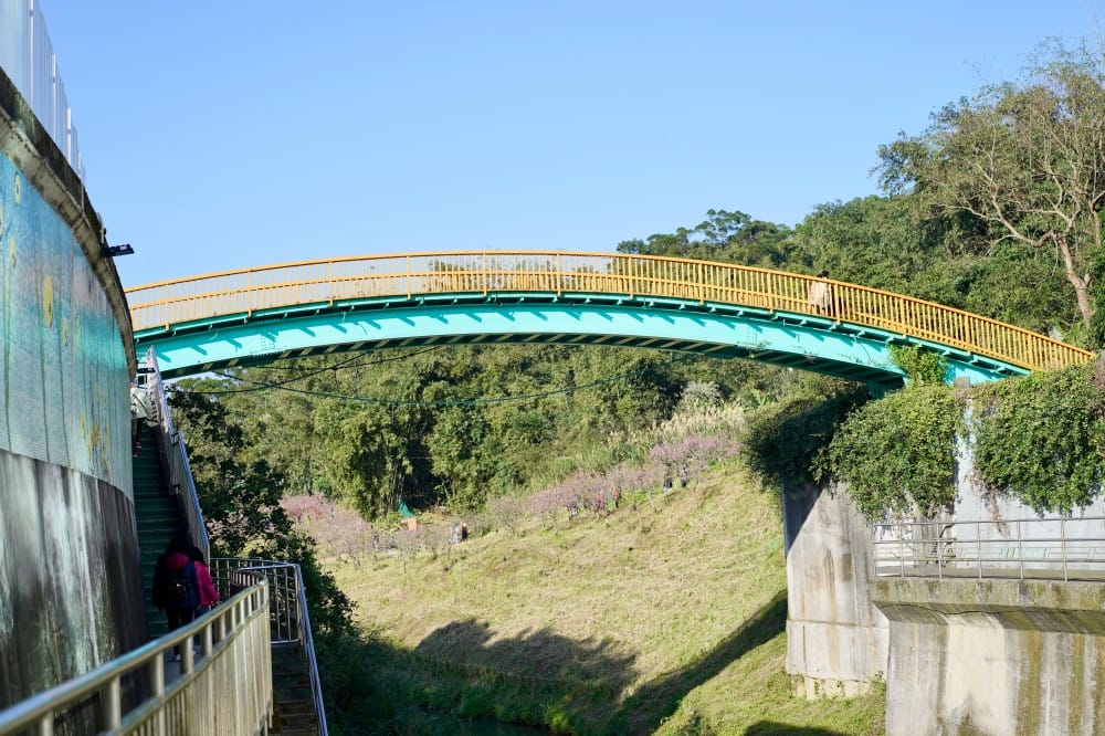 內溝溪自然生態步道賞櫻秘境,內湖五分埤生態濕地賞櫻,還有賞鳥區 - 第3張圖 內溝溪自然生態步道賞櫻秘境,內湖五分埤生態濕地賞櫻,還有賞鳥區