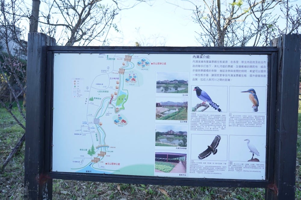 內溝溪自然生態步道賞櫻秘境,內湖五分埤生態濕地賞櫻,還有賞鳥區 - 第7張圖 內溝溪自然生態步道賞櫻秘境,內湖五分埤生態濕地賞櫻,還有賞鳥區