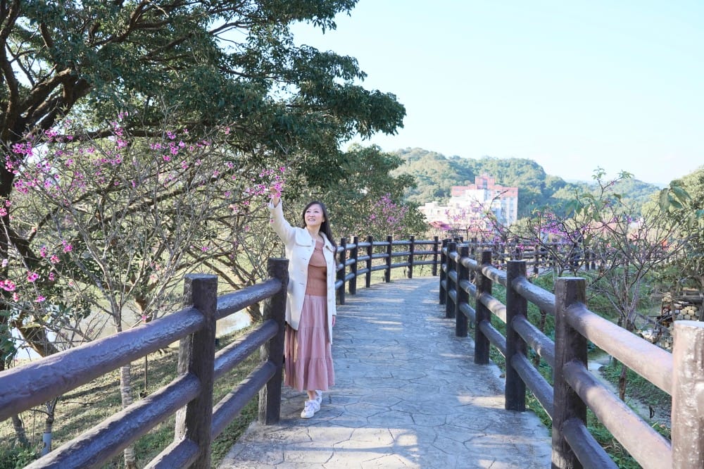 內溝溪自然生態步道賞櫻秘境,內湖五分埤生態濕地賞櫻,還有賞鳥區 - 第25張圖 內溝溪自然生態步道賞櫻秘境,內湖五分埤生態濕地賞櫻,還有賞鳥區