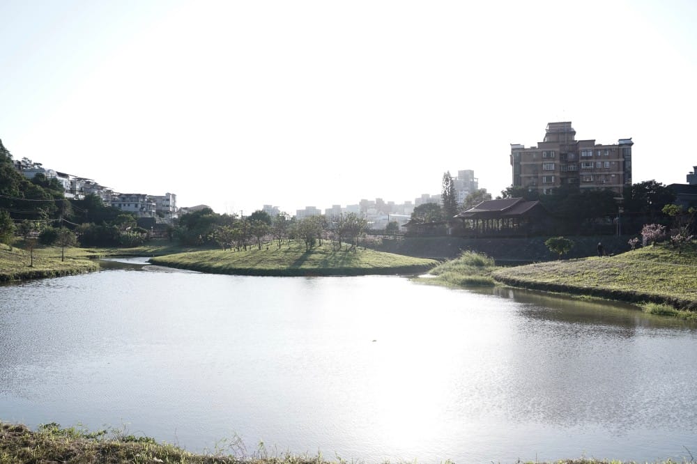 內溝溪自然生態步道賞櫻秘境，內湖五分埤生態濕地賞櫻，還有賞鳥區