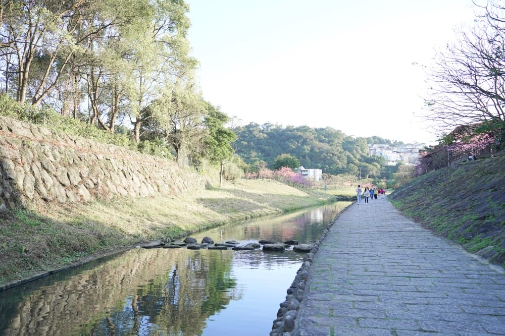 內溝溪自然生態步道賞櫻秘境,內湖五分埤生態濕地賞櫻,還有賞鳥區 - 第27張圖 內溝溪自然生態步道賞櫻秘境,內湖五分埤生態濕地賞櫻,還有賞鳥區