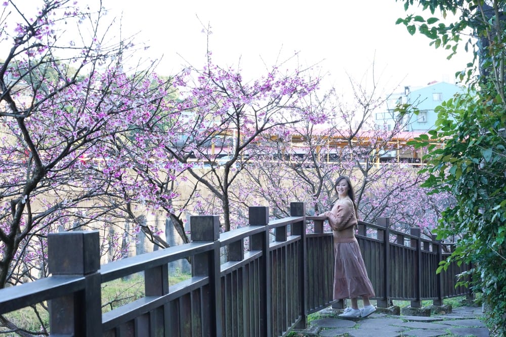 內溝溪自然生態步道賞櫻秘境，內湖五分埤生態濕地賞櫻，還有賞鳥區