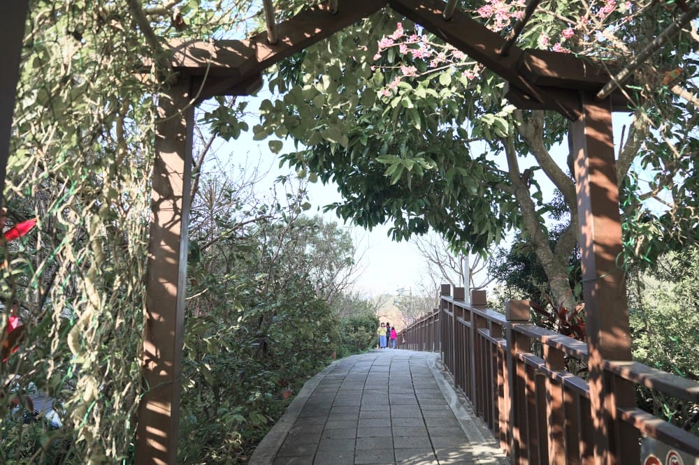 內溝溪自然生態步道賞櫻秘境，內湖五分埤生態濕地賞櫻，還有賞鳥區