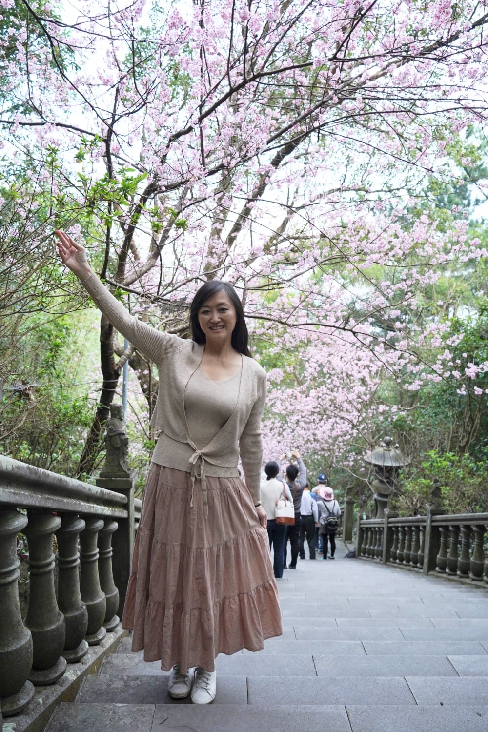 碧山巖櫻花隧道｜淡粉色櫻花隧道炸開，粉色椿寒櫻秒到日本超浪漫櫻花隧道，台北賞櫻景點