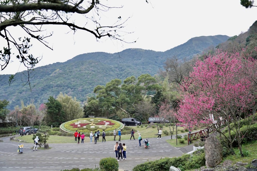 陽明山國家公園櫻花|陽明公園兩大賞櫻景點推薦,交通行程,賞花專車,時間花期 - 第15張圖 陽明山國家公園櫻花|陽明公園兩大賞櫻景點推薦,交通行程,賞花專車,時間花期