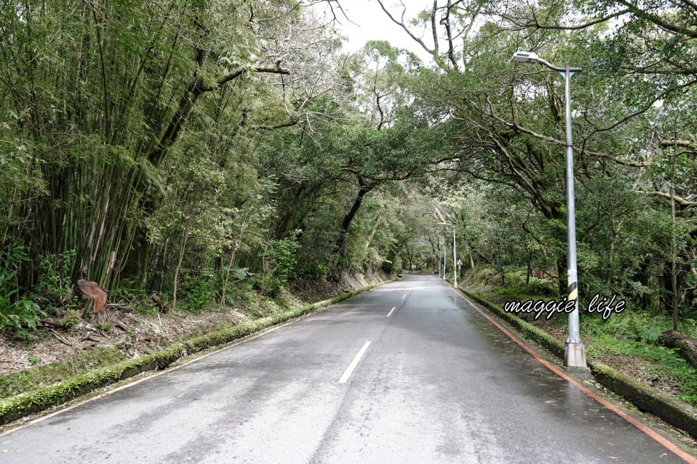 陽明山紫明溪步道｜陽明山最新秘境，免費泡野溪溫泉，還有超美櫻花，就在陽明書屋對面