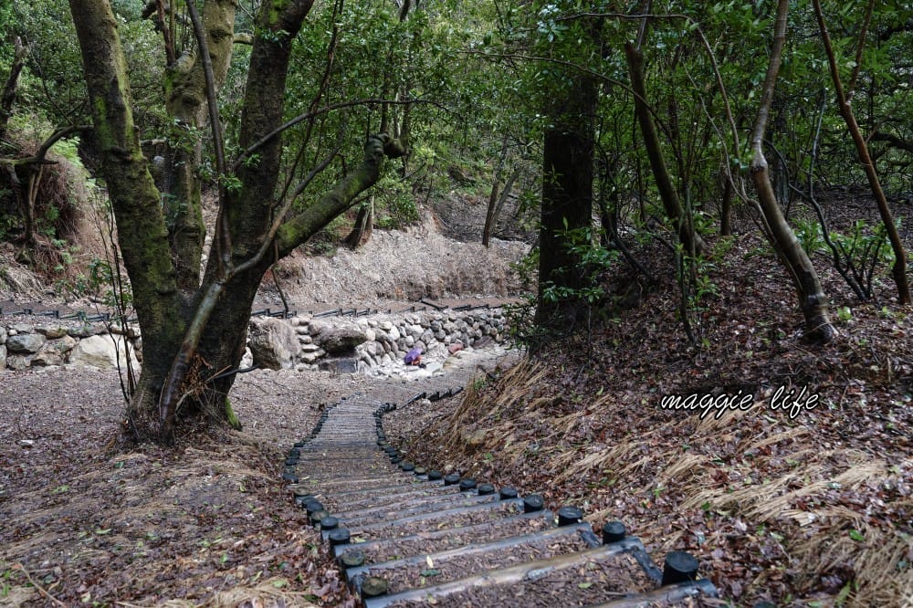 陽明山紫明溪步道｜陽明山最新秘境，免費泡野溪溫泉，還有超美櫻花，就在陽明書屋對面