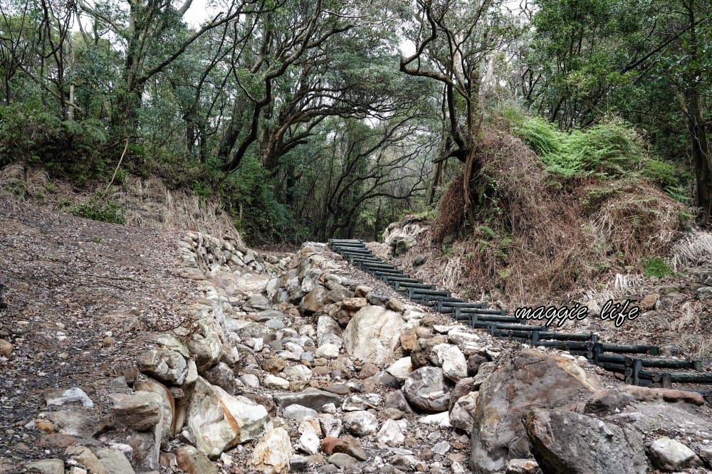 陽明山紫明溪步道｜陽明山最新秘境，免費泡野溪溫泉，還有超美櫻花，就在陽明書屋對面