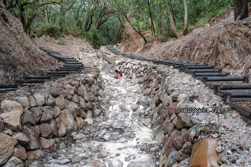 陽明山紫明溪步道｜陽明山最新秘境，免費泡野溪溫泉，還有超美櫻花，就在陽明書屋對面