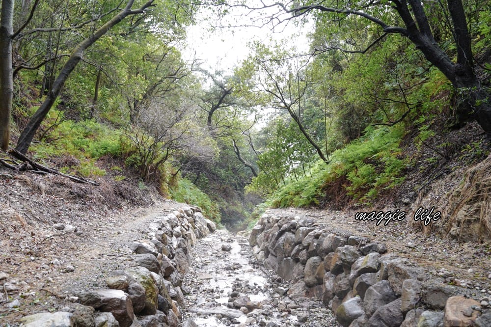 陽明山紫明溪步道｜陽明山最新秘境，免費泡野溪溫泉，還有超美櫻花，就在陽明書屋對面