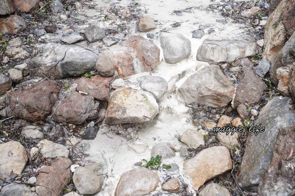 陽明山紫明溪步道｜陽明山最新秘境，免費泡野溪溫泉，還有超美櫻花，就在陽明書屋對面