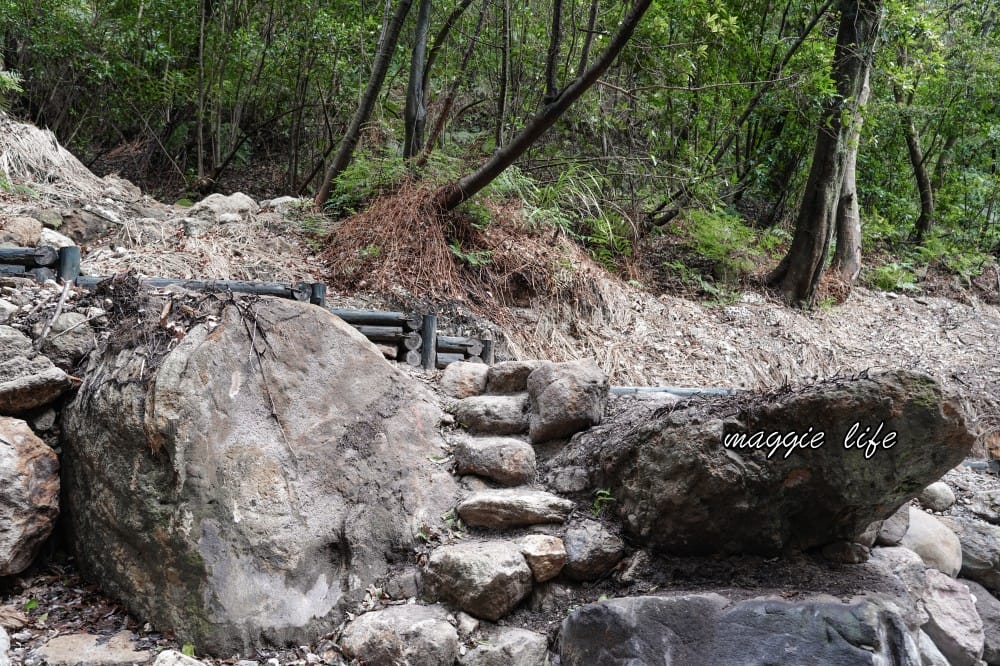 陽明山紫明溪步道｜陽明山最新秘境，免費泡野溪溫泉，還有超美櫻花，就在陽明書屋對面