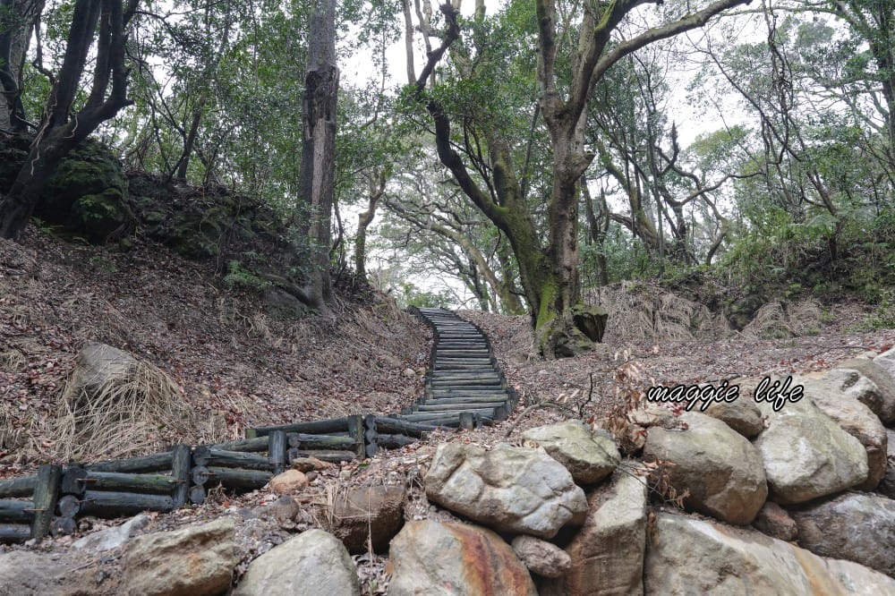 陽明山紫明溪步道｜陽明山最新秘境，免費泡野溪溫泉，還有超美櫻花，就在陽明書屋對面
