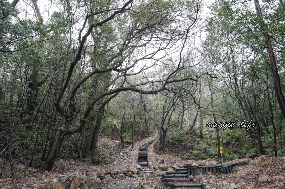 陽明山紫明溪步道｜陽明山最新秘境，免費泡野溪溫泉，還有超美櫻花，就在陽明書屋對面