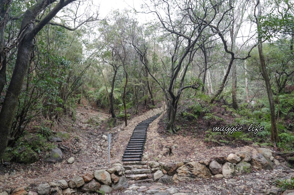 陽明山紫明溪步道｜陽明山最新秘境，免費泡野溪溫泉，還有超美櫻花，就在陽明書屋對面
