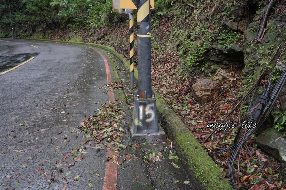 陽明山紫明溪步道｜陽明山最新秘境，免費泡野溪溫泉，還有超美櫻花，就在陽明書屋對面