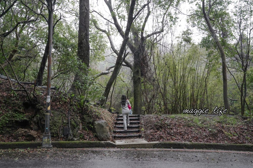 陽明山紫明溪步道｜陽明山最新秘境，免費泡野溪溫泉，還有超美櫻花，就在陽明書屋對面