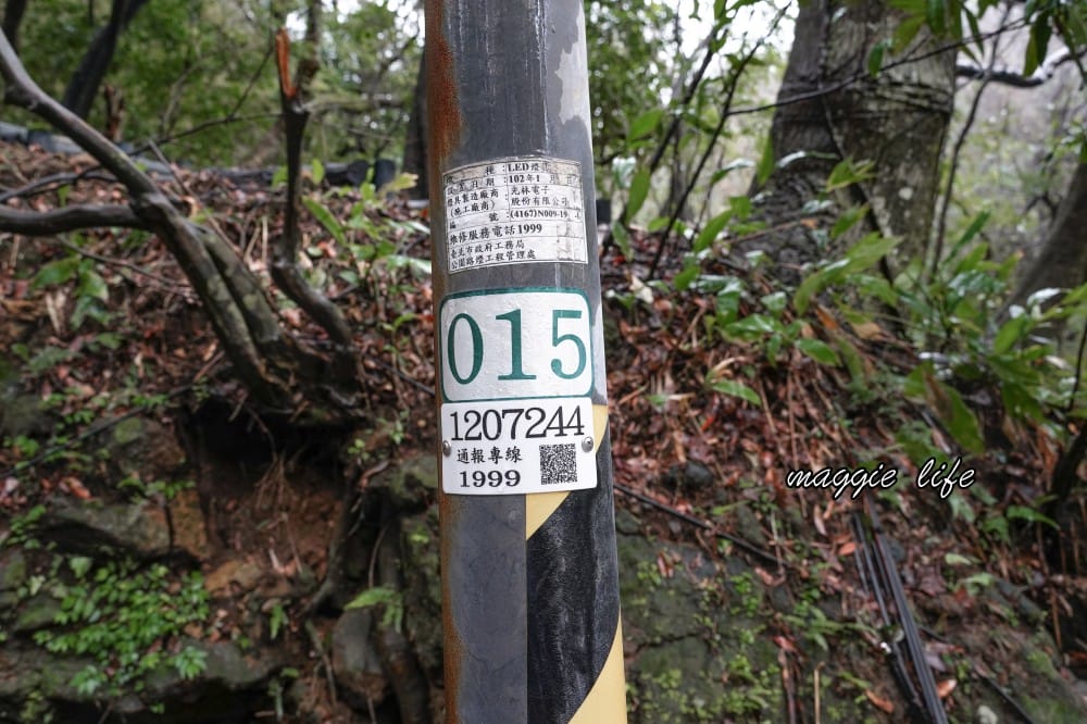 陽明山紫明溪步道｜陽明山最新秘境，免費泡野溪溫泉，還有超美櫻花，就在陽明書屋對面