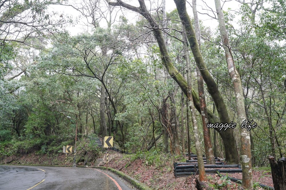 陽明山紫明溪步道｜陽明山最新秘境，免費泡野溪溫泉，還有超美櫻花，就在陽明書屋對面