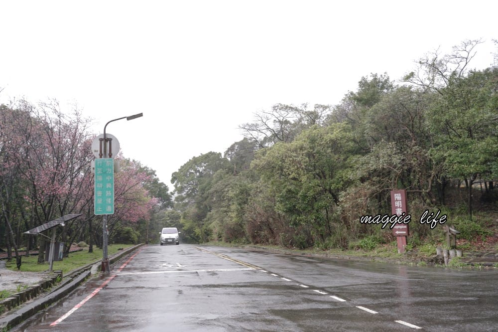 陽明山紫明溪步道｜陽明山最新秘境，免費泡野溪溫泉，還有超美櫻花，就在陽明書屋對面