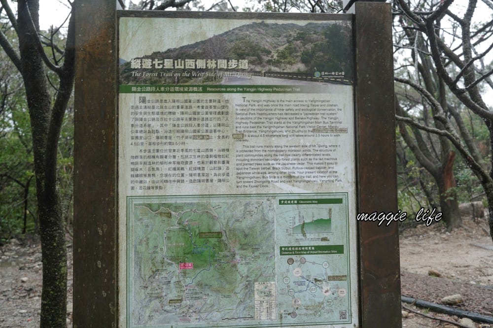 陽明山紫明溪步道｜陽明山最新秘境，免費泡野溪溫泉，還有超美櫻花，就在陽明書屋對面