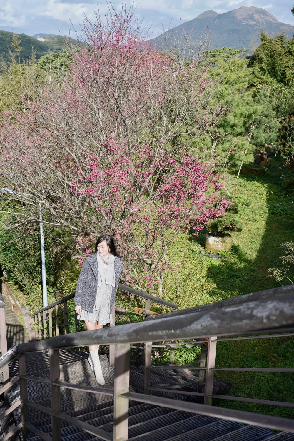 陽明山平菁街櫻花巷櫻花炸開了|平菁街42巷櫻花美拍攻略,怎麼去,怎麼拍 - 第58張圖 陽明山平菁街櫻花巷櫻花炸開了|平菁街42巷櫻花美拍攻略,怎麼去,怎麼拍