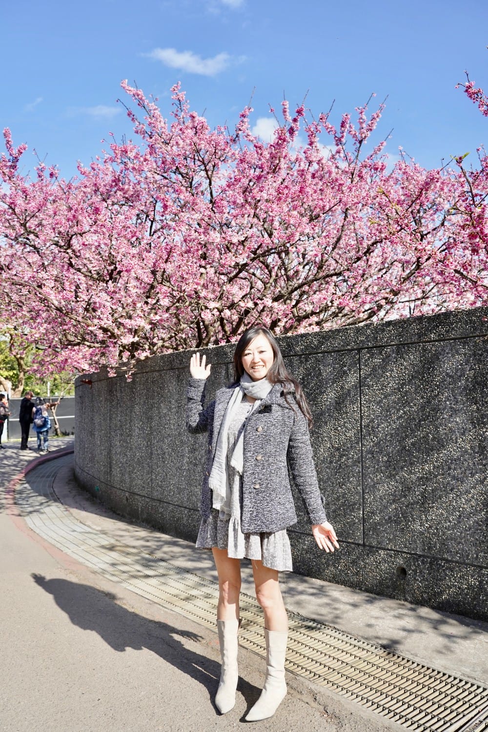 陽明山平菁街櫻花巷櫻花炸開了|平菁街42巷櫻花美拍攻略,怎麼去,怎麼拍 - 第27張圖 陽明山平菁街櫻花巷櫻花炸開了|平菁街42巷櫻花美拍攻略,怎麼去,怎麼拍