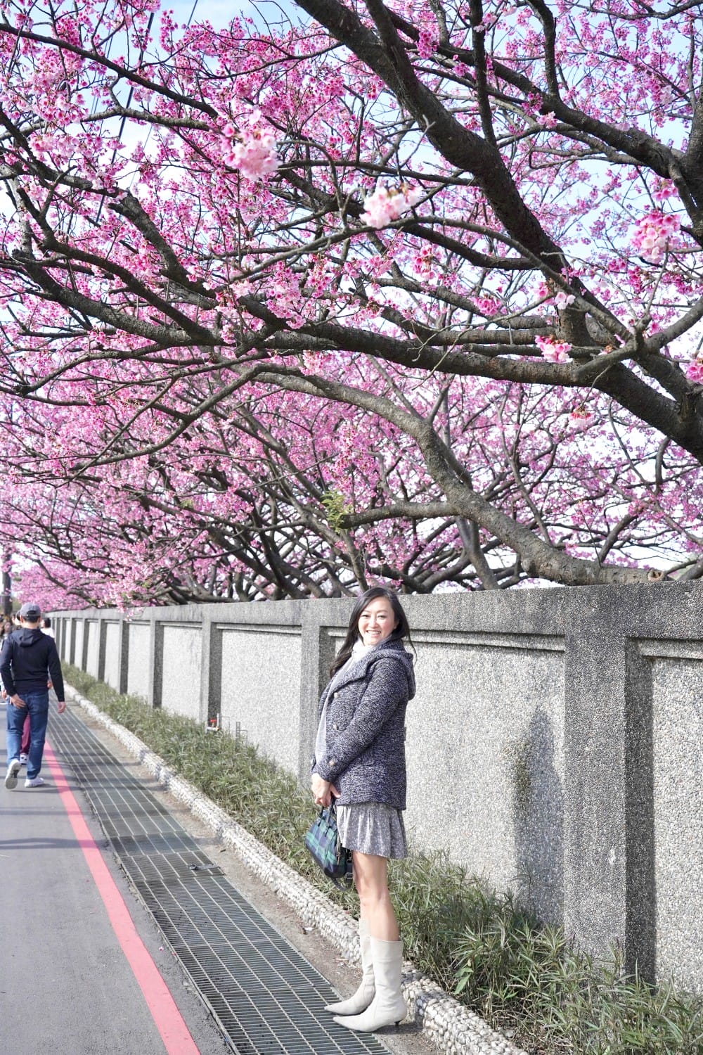 陽明山平菁街櫻花巷櫻花炸開了|平菁街42巷櫻花美拍攻略,怎麼去,怎麼拍 - 第19張圖 陽明山平菁街櫻花巷櫻花炸開了|平菁街42巷櫻花美拍攻略,怎麼去,怎麼拍