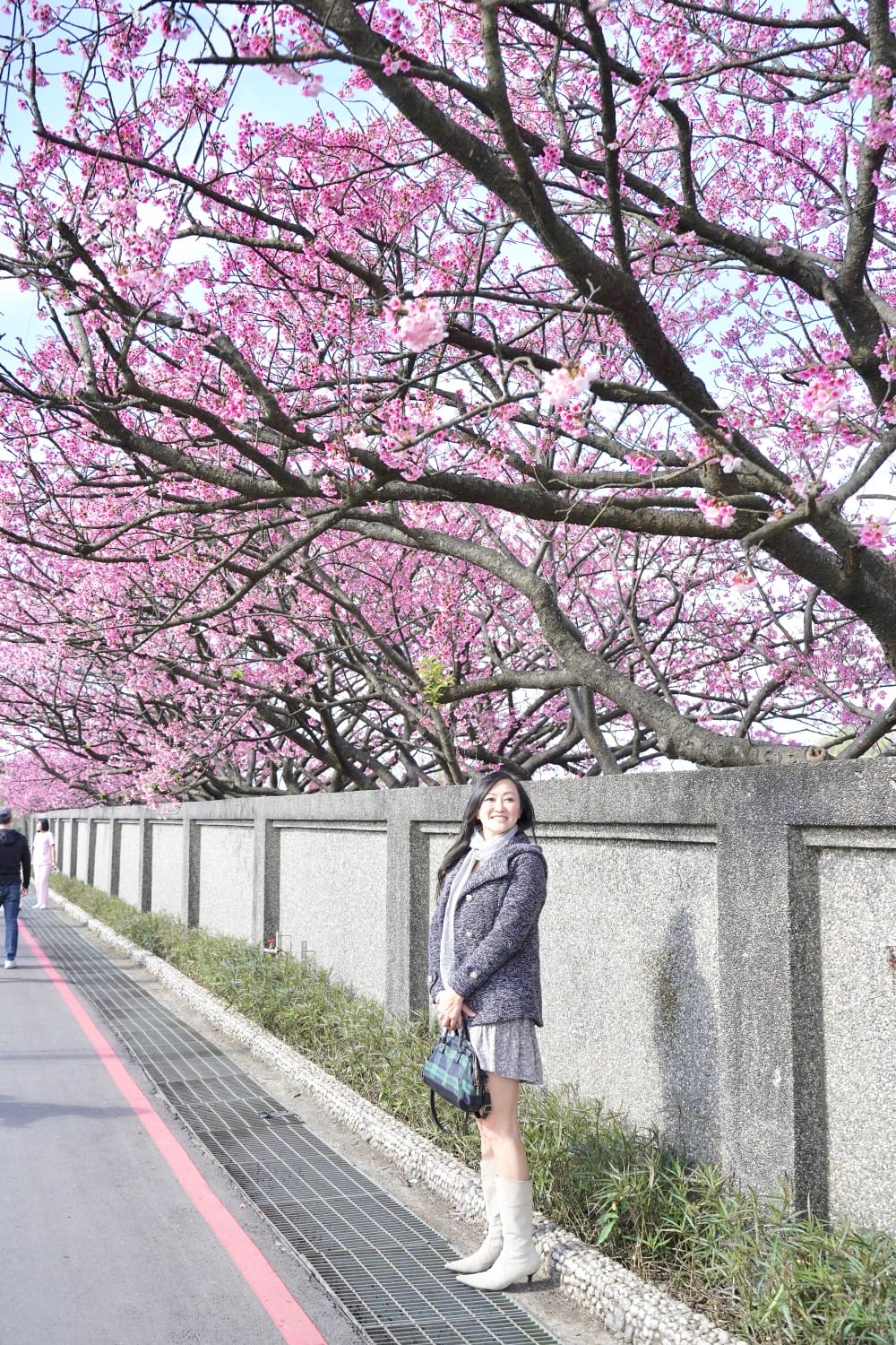 陽明山平菁街櫻花巷櫻花炸開了|平菁街42巷櫻花美拍攻略,怎麼去,怎麼拍 - 第20張圖 陽明山平菁街櫻花巷櫻花炸開了|平菁街42巷櫻花美拍攻略,怎麼去,怎麼拍