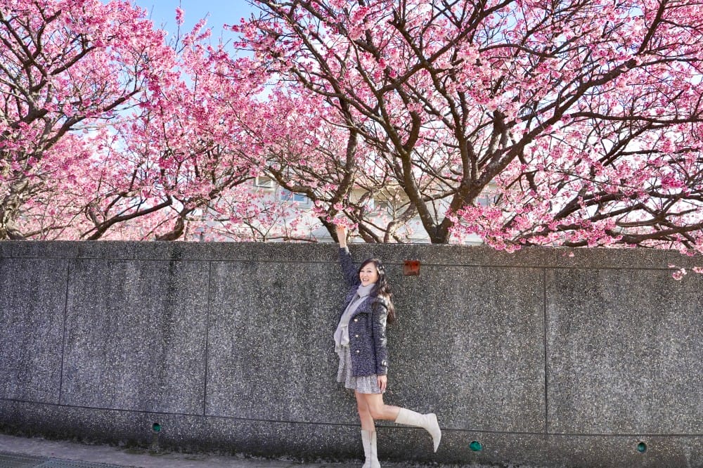陽明山平菁街櫻花巷櫻花炸開了｜平菁街42巷櫻花美拍攻略，怎麼去，怎麼拍 @瑪姬幸福過日子