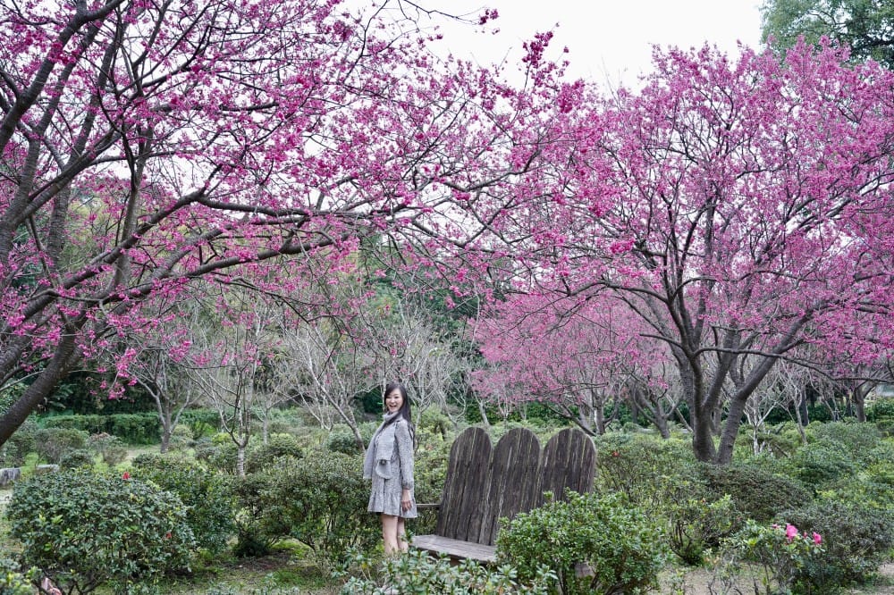 1陽明山花卉中心fullsizeoutput 1182